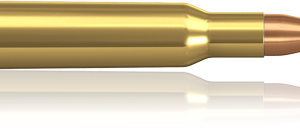 222 Rem Norma Hornady V-MAX 2,6g/40 gr