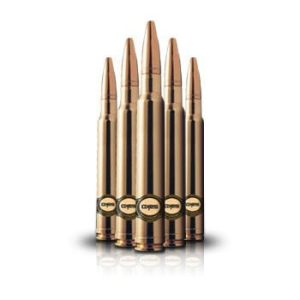 308 Win Sako Gamehead 8g/123gr